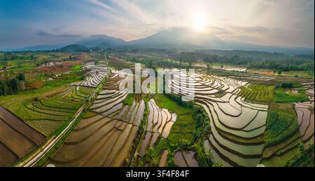 Vue aérienne de rizières en terrasses vertes luxuriantes reflétant la lumière dorée du coucher du soleil avec des montagnes en arrière-plan à Pariaman, Sumatra occidental, Indonésie Banque D'Images