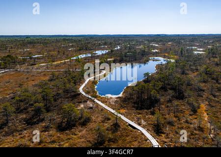 Promenade aérienne au-dessus des tourbières du parc national de Kemeri, Lettonie Banque D'Images