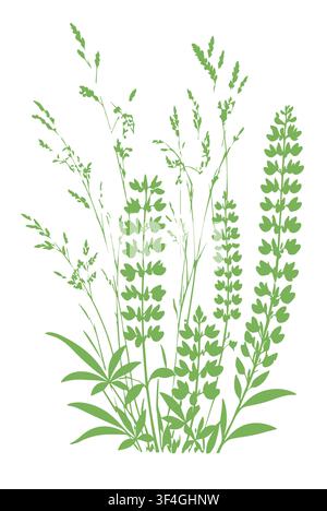 Vecteur de silhouettes de fleurs de lupin vert herbe, isolées sur fond blanc, illustration de design naturel de motifs de plantes d'herbe, œuvre verte, main Illustration de Vecteur