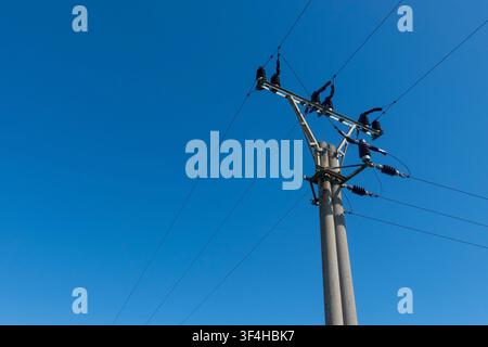 Poteau de distribution d'électricité en béton avec isolateurs et lignes aériennes vues d'en bas contre un ciel bleu clair Banque D'Images