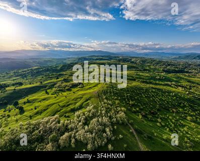 Vue aérienne de collines vertes luxuriantes et de prairies ondulantes sous un ciel bleu nuageux au coucher du soleil Banque D'Images