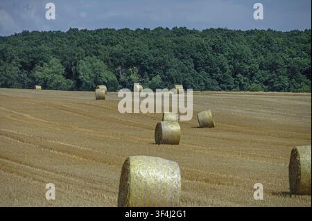 Balles rondes de paille dans un champ banal, Haute-Franconie, Bavière, Allemagne Banque D'Images