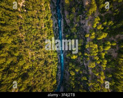 Vue aérienne d'une étroite gorge fluviale entourée d'une forêt dense Banque D'Images