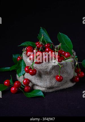 Cerises fraîches et mûres dans un sac en toile de jute rustique avec des feuilles vertes sur un fond noir. Banque D'Images