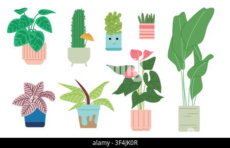 Collection de plantes d'intérieur en pots Ensemble d'illustrations Illustration de Vecteur
