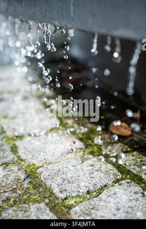 Gros plan vertical des gouttes d'eau dégoulinant d'un bord métallique sur un pavé mouillé avec de la mousse verte en mouvement figé Banque D'Images