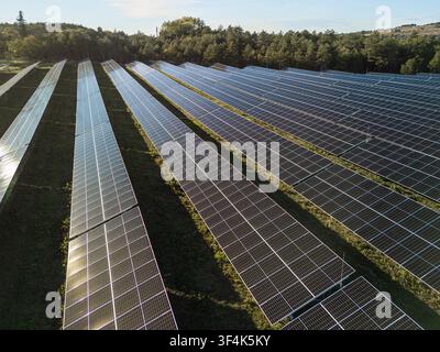 Une vue aérienne montre de vastes panneaux solaires disposés en rangées produisant de l'énergie renouvelable dans un paysage verdoyant sous un ciel dégagé. Banque D'Images