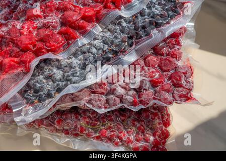 gros plan d'une pile de sacs en plastique scellés sous vide contenant des framboises, des groseilles noires, des cerises et des groseilles rouges congelées sous la lumière du soleil Banque D'Images