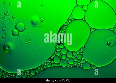 Des bulles d'huile verte et d'eau créant une texture organique abstraite Banque D'Images