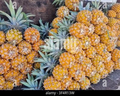 Amas dense de petits ananas mûrs avec des feuilles vertes sur une étagère en bois dans un marché tropical en plein air. Présentation de fruits dorés frais à vendre. Banque D'Images