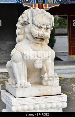 Une statue de lion en pierre à l'entrée du jardin impérial de la dynastie Qing. Elle garde le jardin impérial et le complexe du palais. Banque D'Images