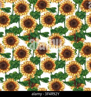 Motif sans couture avec tournesols. Illustration aquarellée dessinée à la main. Beau motif floral. Parfait pour les textiles, la décoration, les emballages et les étiquettes Banque D'Images