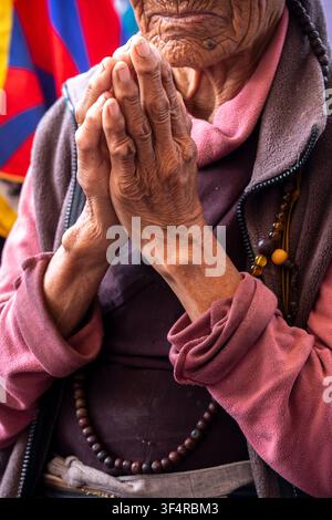 Journée nationale du soulèvement tibétain à Dharamsala, Himachal Pradesh, Inde. Une femme âgée prie les mains jointes, portant un mala et des traditionnels Banque D'Images