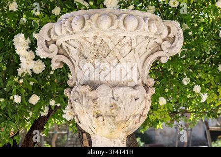 Urne de jardin en pierre décorative devant un buisson de roses blanches en fleurs, Jardins Iblei, Ragusa Ibla, Sicile, Italie Banque D'Images