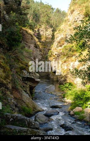 Une rivière turbulente coule sur les rochers, creusant son chemin à travers un canyon profond avec une végétation luxuriante et verte Banque D'Images