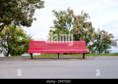 Porto, 5 juin 2022 : Banc en bois rouge solitaire face à l'océan, entouré d'arbres verts dans un parc côtier. Banque D'Images