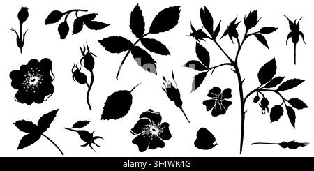 Ensemble vectoriel de silhouettes de hanapés avec feuilles, fleurs, baies, boutons et branches. Éléments botaniques minimaux pour le branding, l'emballage, la papeterie et l'impression. Illustration de Vecteur