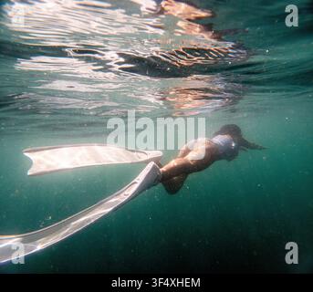 Plongeur libre nageant gracieusement sous l'eau portant de longues palmes blanches dans une eau océanique cristalline Banque D'Images