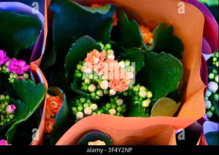 Un bouquet de fleurs éclatant disposé dans des pots en terre cuite avec un emballage en papier, créant un cadre lumineux et joyeux en intérieur ou en jardin extérieur. Vu d'une perspective de dessus, cet arrangement. Banque D'Images