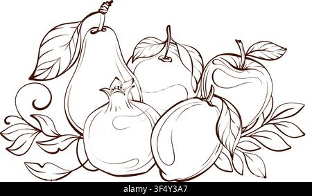 Collection de garde-manger de fruits, ensemble de clipart vectoriel en art linéaire botanique de style vintage raffiné mettant en vedette des éléments de récolte de verger pour le branding, l'emballage Illustration de Vecteur