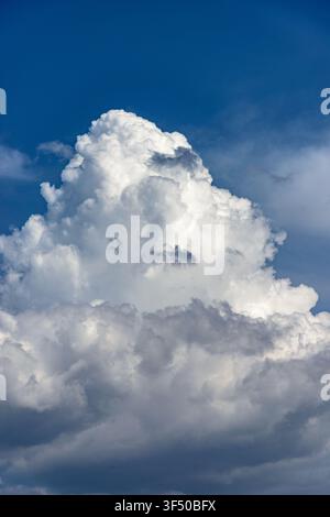 Cumulus nuages blancs bofies imposants dans un fond de ciel bleu clair. Banque D'Images