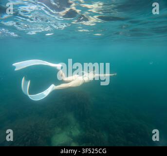 Palmes longues, femme nageant sous l'eau dans une mer turquoise avec des palmes blanches et un bikini pendant une plongée en apnée Banque D'Images