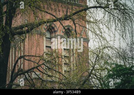 Clocher gothique de la cathédrale Holy Trinity encadré par des branches d'arbres, Shanghai Banque D'Images