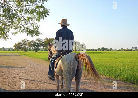 Photographie de style de vie serein d'un cavalier sur un cheval appaloosa dans un champ de riz tropical Banque D'Images