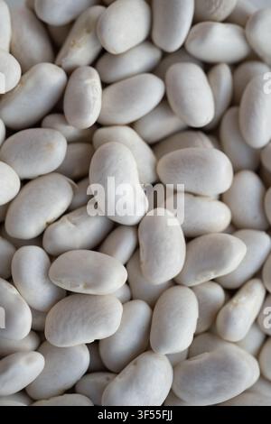 Haricots blancs secs en gros plan, une protéine végétale nutritive et un incontournable du garde-manger polyvalent pour la cuisine maison saine et les recettes traditionnelles Banque D'Images