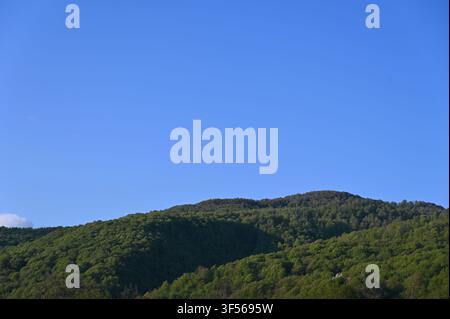Un paysage pittoresque présentant des collines ondulantes entièrement recouvertes de forêts denses et luxuriantes sous un ciel bleu vif et sans nuages par une journée ensoleillée. Banque D'Images