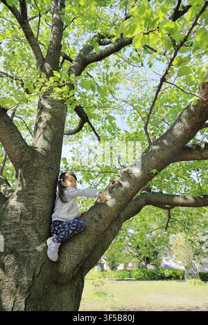 Jeune fille japonaise grimpant à l'arbre (5 ans) Banque D'Images