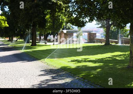 Des arroseurs automatiques arrosent une pelouse verdoyante dans un parc urbain par une journée d'été ensoleillée, mettant en valeur l'irrigation et l'entretien des paysages. Banque D'Images