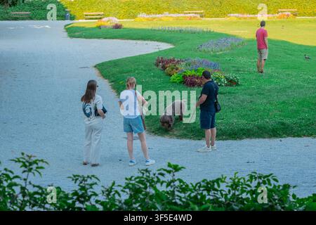 Des gens promènent un chien à poil bouclé le long d'un chemin de gravier à travers un parc luxuriant, passant devant des parterres de fleurs colorés et des pelouses bien entretenues, avec des bancs et des haies Banque D'Images