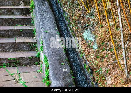 Le trottoir urbain montre des marches en béton usées à côté d'un trottoir couvert de mousse et d'une clôture métallique. Le chemin vieilli présente une décomposition naturelle avec la végétation qui pousse Banque D'Images