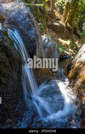 Une petite cascade soyeuse dévale des rochers sombres et moussu sur un ruisseau forestier paisible au centre du Portugal. Banque D'Images