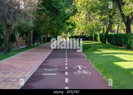 Piste cyclable urbaine bordée d'arbres et passage piétonnier à travers un quartier résidentiel verdoyant Banque D'Images