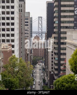 Vue élevée d'une rue du centre-ville de San Francisco, encadrée par de grands immeubles de bureaux et des arbres verts, avec la tour du pont de la baie centrée au loin Banque D'Images