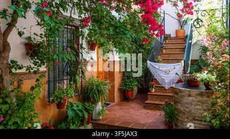 Patio luxuriant rempli de fleurs dans la cour de Cordoue, en Espagne, avec des bougainvillées grimpantes, des plantes en pot, des marches de carrelage à motifs, des barreaux de fenêtre en fer forgé et Banque D'Images