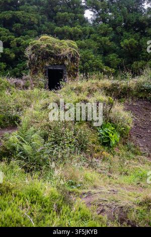 Cabane en pierre, recouverte d'un mousse vert luxuriant et entourée de fougères abondantes et de flore sauvage, abandonnée dans la forêt de l'île de São Miguel Banque D'Images