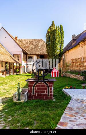 Paysage rural typique et maisons rustiques à Barcut - Bekokten, Transylvanie, Roumanie Banque D'Images