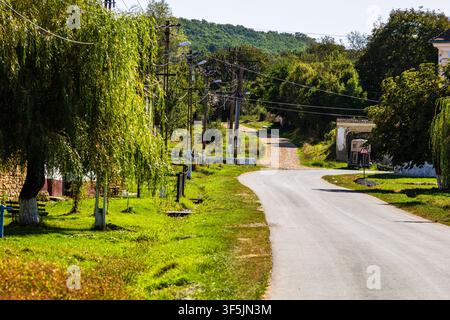 Paysage rural typique et maisons rustiques à Barcut - Bekokten, Transylvanie, Roumanie Banque D'Images
