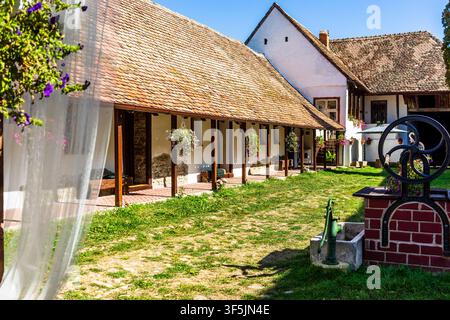 Paysage rural typique et maisons rustiques à Barcut - Bekokten, Transylvanie, Roumanie Banque D'Images