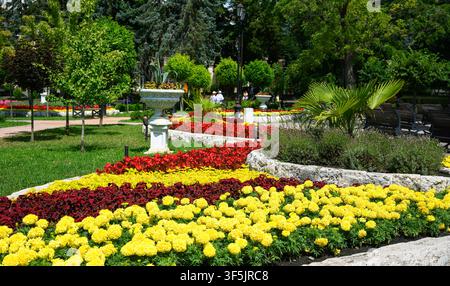Une journée lumineuse et ensoleillée dans un parc public aménagé mettant en vedette des parterres de fleurs vibrants et multicolores. Le premier plan montre des rangées denses de soucis jaunes, dar Banque D'Images