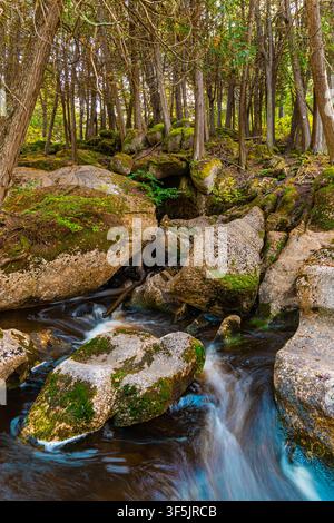 Un ruisseau forestier rocheux cascade doucement autour de gros rochers de granit couverts de mousse sous un bosquet dense de cèdres au Québec, Canada. Banque D'Images