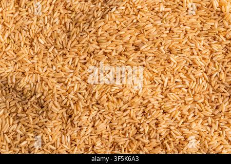 Photo macro vue de dessus de grains de riz complet non cuits formant une texture naturelle en plein cadre. Arrière-plan de nourriture saine à grains entiers pour la cuisine, la nutrition, a Banque D'Images