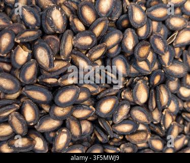 Présentation rapprochée de la texture de graines de pastèque noires rôties en fond Banque D'Images
