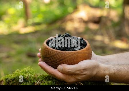 Prise au niveau des yeux d'une personne tenant dans ses mains un bol en bois artisanal rempli de mûres sauvages fraîchement cueillies, sur un fond flou doux Banque D'Images