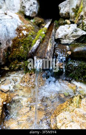 Source de montagne avec de l'eau potable pure coulant sur une planche en bois rustique dans la région alpine pittoresque de la vallée de la Soca, en Slovénie Banque D'Images