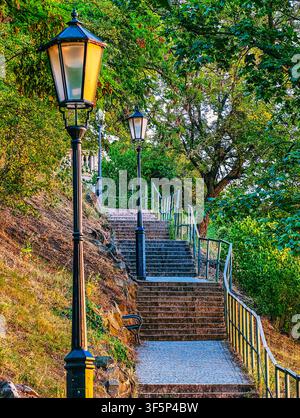 Escalier en pierre montant à travers une végétation luxuriante avec des lampadaires vintage dans un parc paisible en été. Banque D'Images