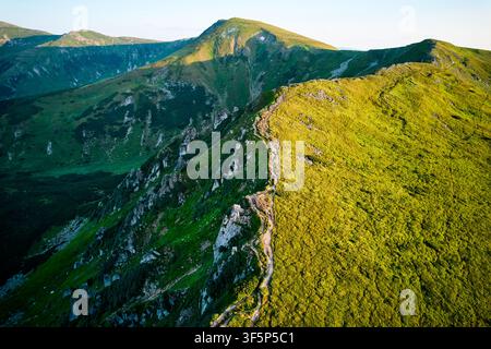 Vue aérienne de la chaîne de montagnes accidentée avec des pentes verdoyantes au coucher du soleil. Paysage met en valeur la beauté de la nature intacte avec des sommets lointains et des vallées baignées de lumière douce du soleil. Carpates, Chornogora. Banque D'Images